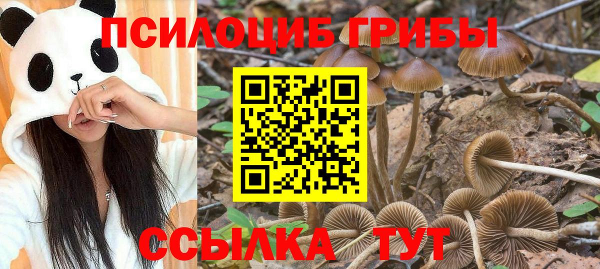 Псилоцибиновые грибы Cubensis  Вход с VPN  Киреевск 