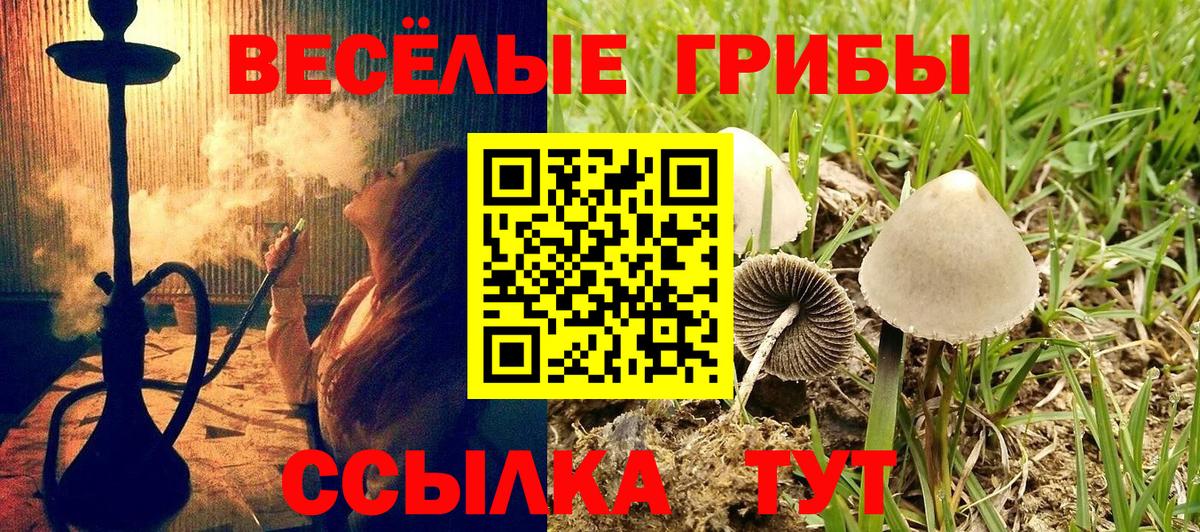 Галлюциногенные грибы MAGIC MUSHROOMS Киреевск